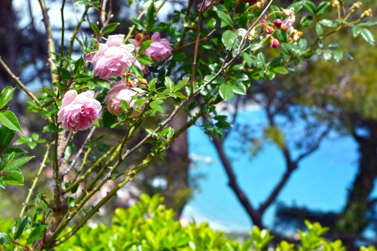 Torre Alpicella Holiday Home, A Scenic Escape Into Nature And Relaxation 디아노마리나 외부 사진